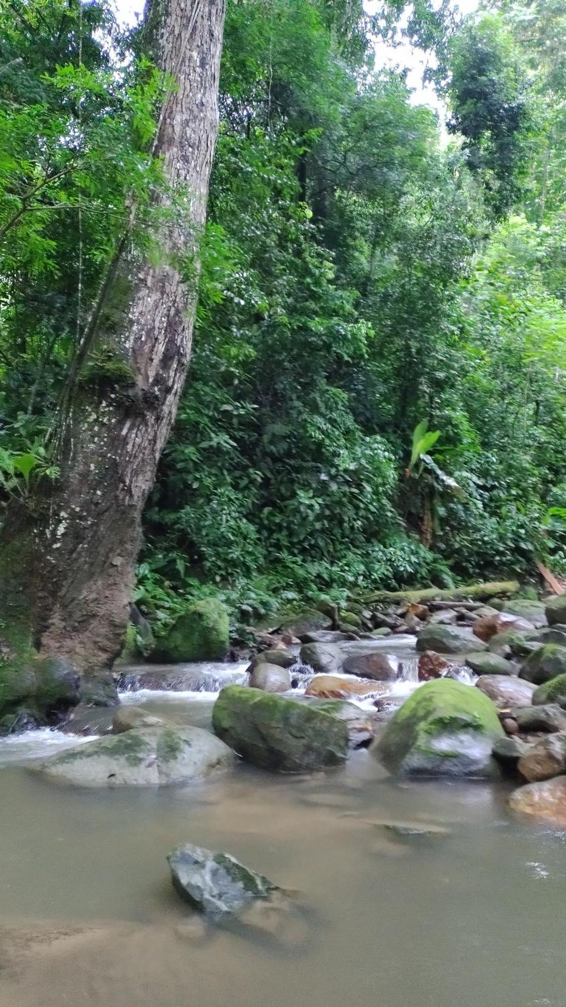 Casaluna Tayrona Villa Santa Marta  Luaran gambar