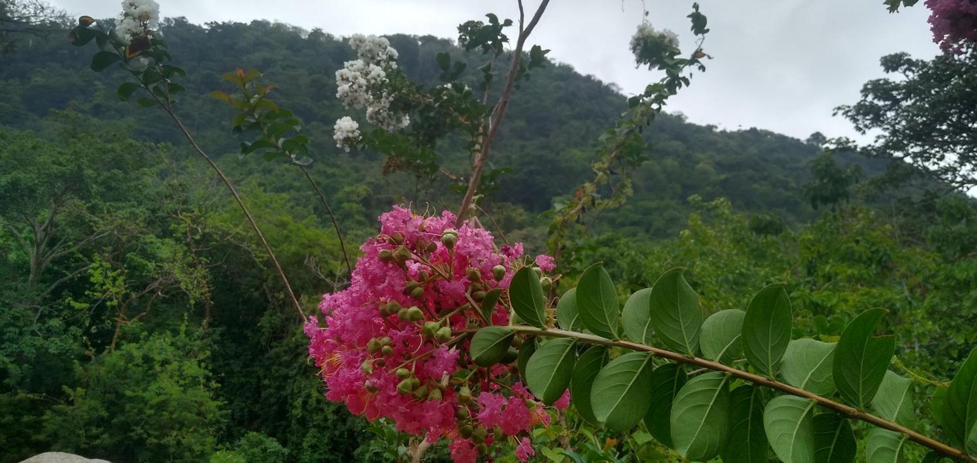 Casaluna Tayrona Villa Santa Marta  Luaran gambar